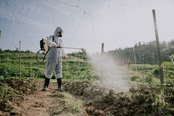 Best Mosquito Control Services  in Canton, SD