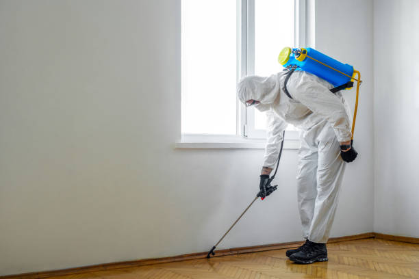 Best Local Pest Control Services  in Canton, SD