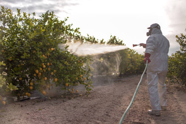Best Pest Removal Services  in Canton, SD