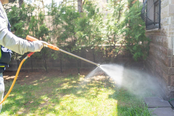 Best Local Pest Control Services  in Canton, SD