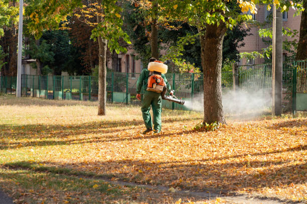 Flea Control Services in Canton, SD