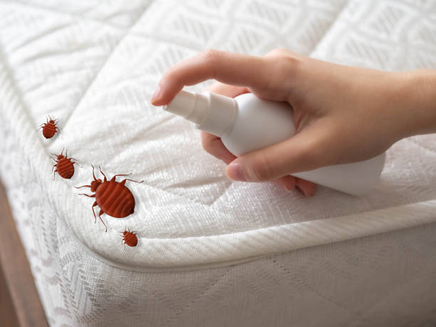 Best Exterminator Services  in Canton, SD