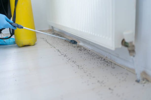 Professional Pest Control in Canton, SD