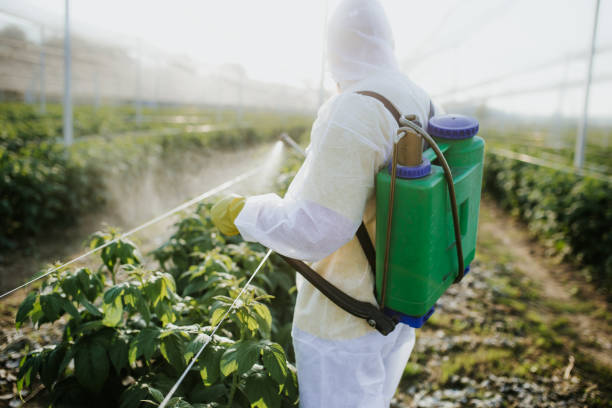 Best Pest Control Near Me in Canton, SD